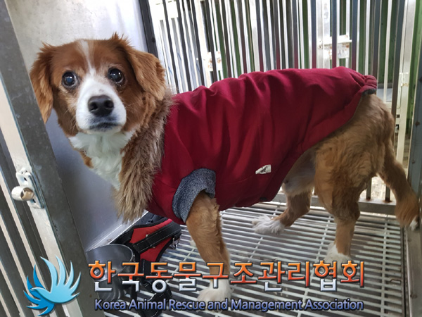 한국동물구조관리협회_411315202500018